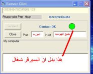 صورة البرنامج عند عمل السيرفر.JPG