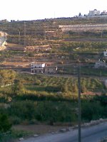 حسكا   .jpg