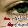 احمد الماستر