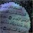 {ماجد}