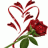 nidale