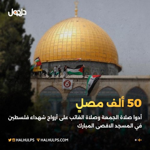 أخبار في صور