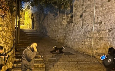 الاحتلال يعتقل شابًا من القدس