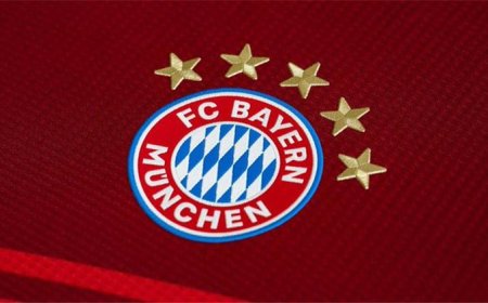 نادي بايرن ميونخ يتعاقد مع مدرب حراسة المرمى ريشنر من هوفنهايم