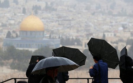 صقيع صباحاً وهطول امطار متفرقة اليوم الاثنين 13/2/2023