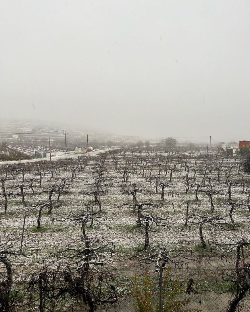 صورة من منطقة واد قبون في حلحول