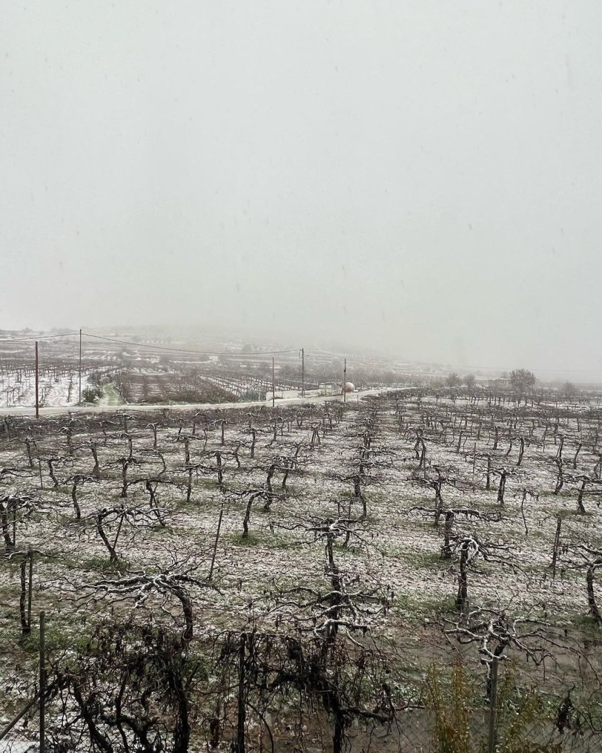 صورة من منطقة واد قبون في حلحول