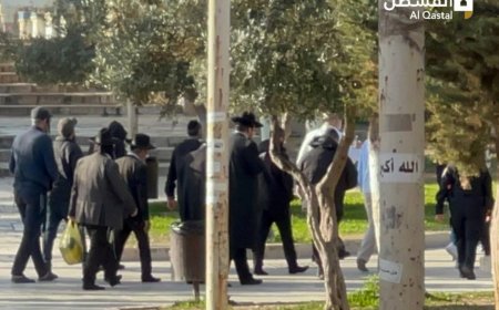 مستوطنون بحماية شرطة الإحتلال يقتحمون باحات المسجد الأقصى .. بالفيديو
