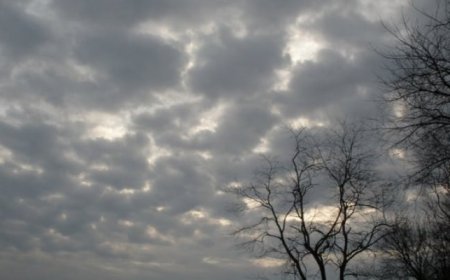 حالة الطقس: أجواء معتدلة وغائمة ولا يطرأ تغير يذكر