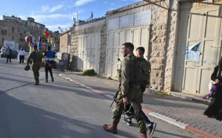 الخليل: مستوطنون يهاجمون مواطنين والاحتلال يعتقل 3 شبان