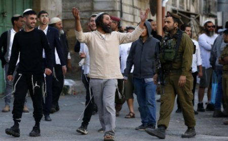 الخليل: مستوطنون يعتدون على المواطنين في حي تل رميدة