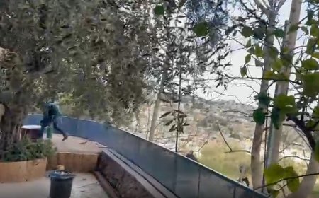 فيديو اخر لمستوطنيين يعتدون على المواطنين في حي تل رميدة