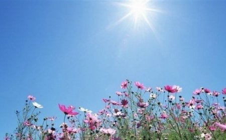 الطقس: ربيعي دافئ حتى يوم الأثنين بعده عودة البرودة