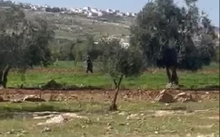 قوات الاحتلال تعتقل شاباً من منطقة الشرفة في بلدة تقوع جنوب شرق بيت لحم.