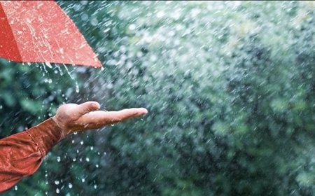 حالة الطقس: أجواء باردة ورياح نشطة وزخات من الأمطار على فترات