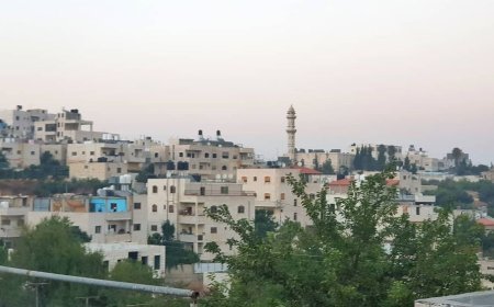 خطباء المساجد والصيدليات المناوبه في مدينة حلحول - اليوم الجمعة