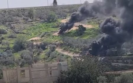 فيديو: مواجهات مع الاحتلال في بلدتي بيت دجن وبيتا بنابلس