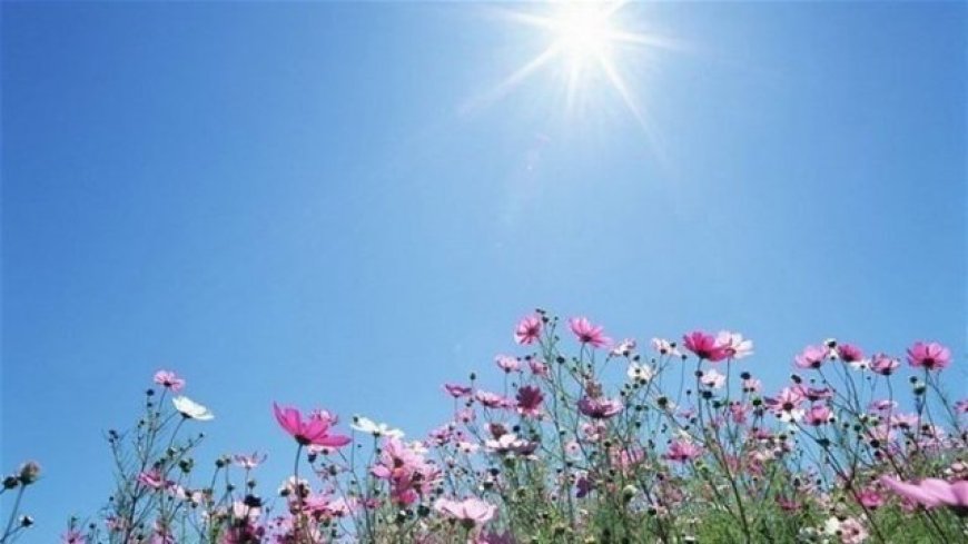 الطقس: ربيعي دافئ حتى يوم الأثنين بعده عودة البرودة