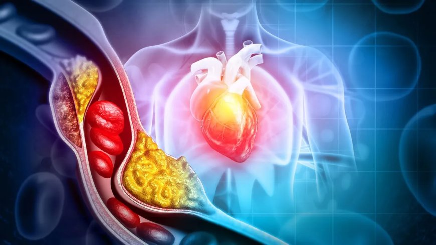 حبوب منع الحمل الجديدة التي تؤخذ عن طريق الفم تقلل مستويات الكوليسترول السيئ بنسبة 60٪ في ثمانية أسابيع