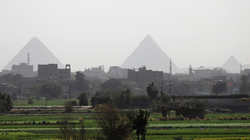 مصر: مركز معلومات تغير المناخ يحذر من كتلة قطبية تهدد محصول القمح
