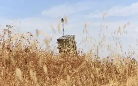 حالة تأهب قصوى لجيش الاحتلال في الضفة الغربية حتى يوم الاستقلال