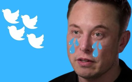 تويتر يعيد العلامة الزرقاء للحسابات التي لديها أكثر من مليون متابع مجانا