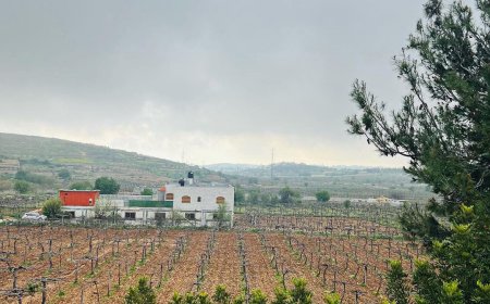 الطقس: أجواء باردة وأمطار خفيفة ومتفرقة