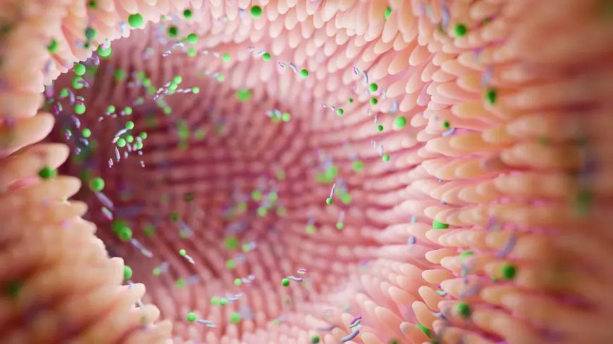 كبسولة إلكترود جديدة قابلة للهضم لتحفيز هرمون تنظيم الجوع