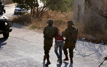 الضفة الغربية: 2520 حالة اعتقال منذ 7 أكتوبر 2023