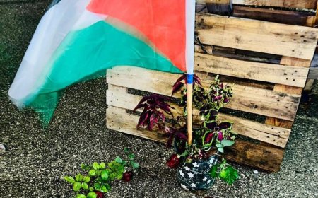 استشهاد شاب برصاص قوات الاحتلال الحي قرب جنين