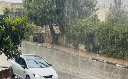 أجواء باردة جداً وتيارت غربية رطبة وزخات متفرقة تتركز في محافظات شمال فلسطين