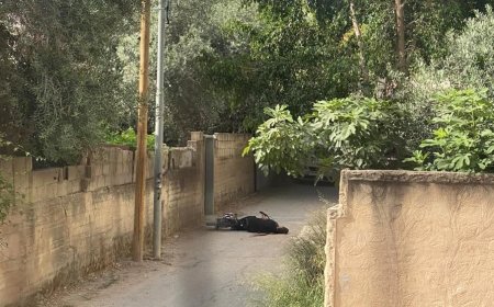 7 شهداء و15 إصابة إثنان بحالة خطيرة برصاص الاحتلال في جنين