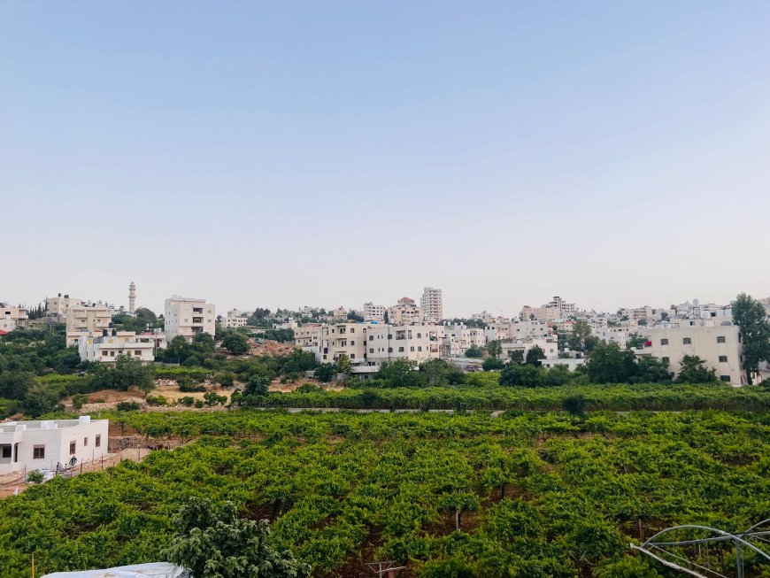 حالة الطقس: أجواء صيفية حارة