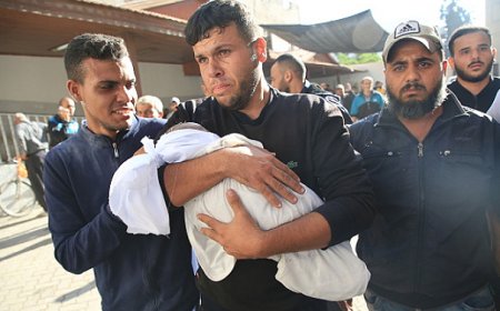 الحرب على غزة: عشرات الشهداء بالقطاع واستهداف للنازحين بالشمال